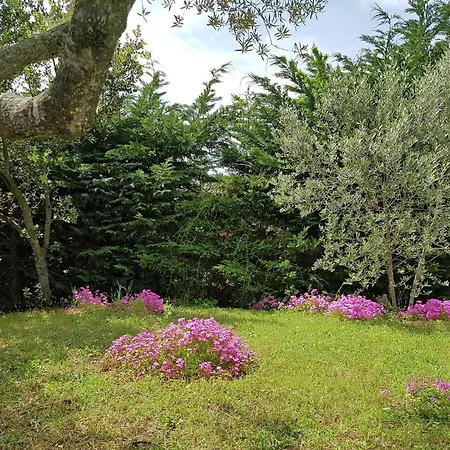 Peaceful Valley View *