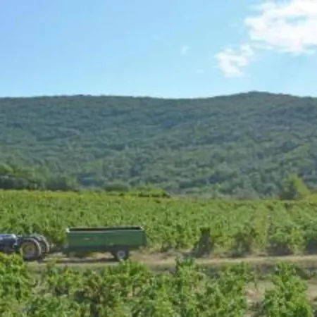 Peaceful Valley View Vila *