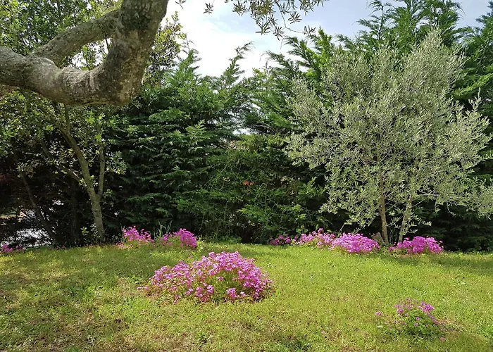 Peaceful Valley View *