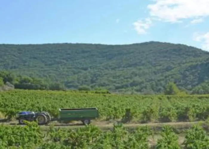 Peaceful Valley View فيلة *