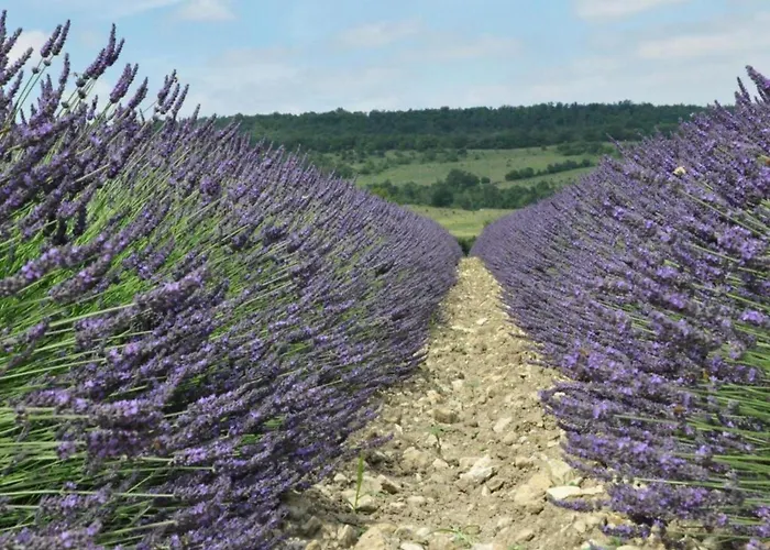 Peaceful Valley View * Cornillon
